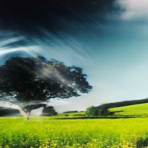 Meet your Posher, Donavan